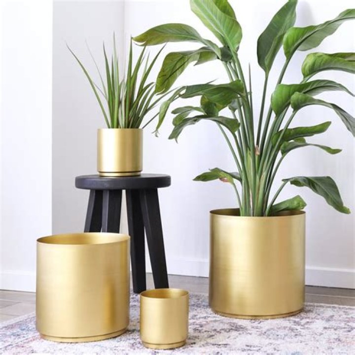 Are metal pots bad for plants?