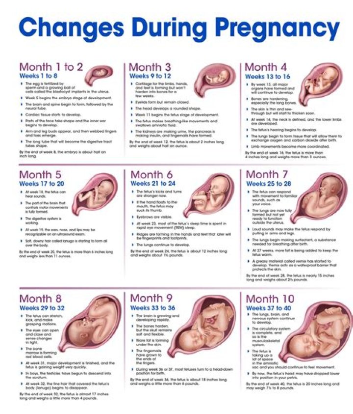 Can anemia in pregnancy harm my baby?