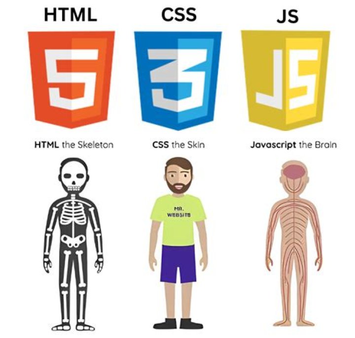 Can JavaScript edit CSS?