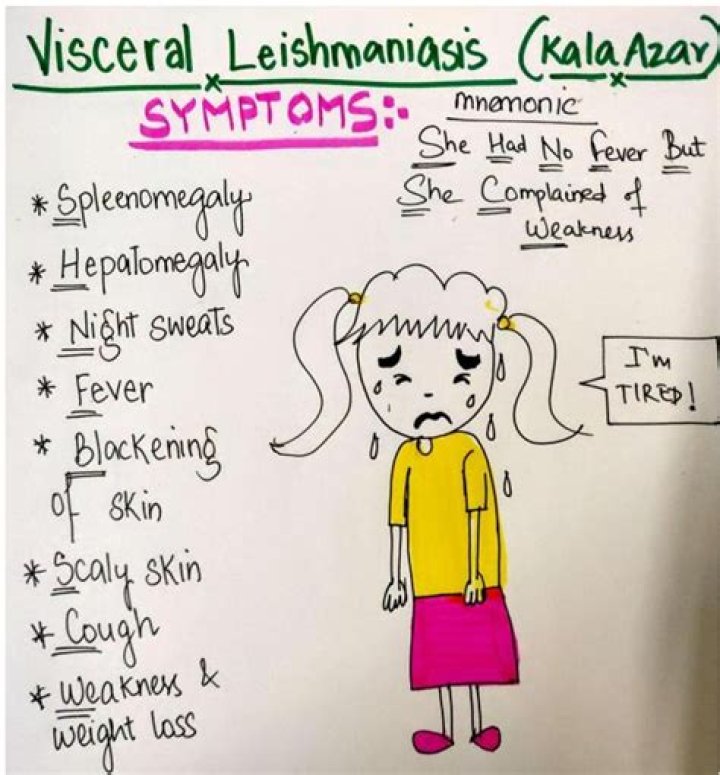 Can kala-azar be cured?