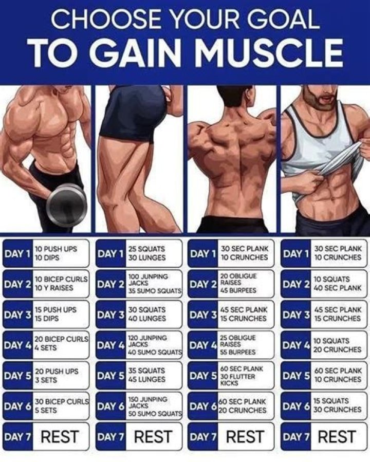 Can you gain muscle 3 Day split?