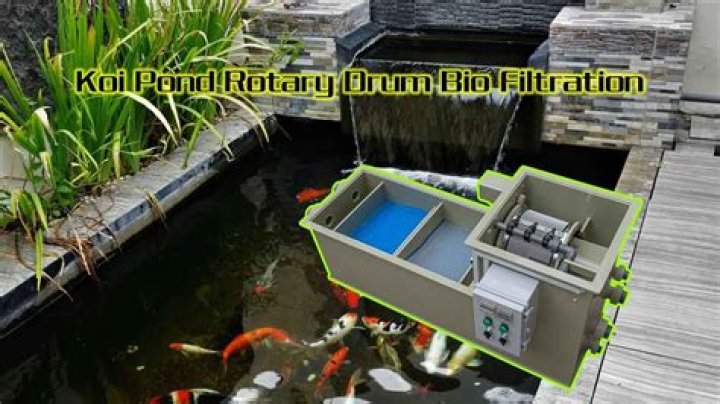 Can you have a koi pond without a filter?