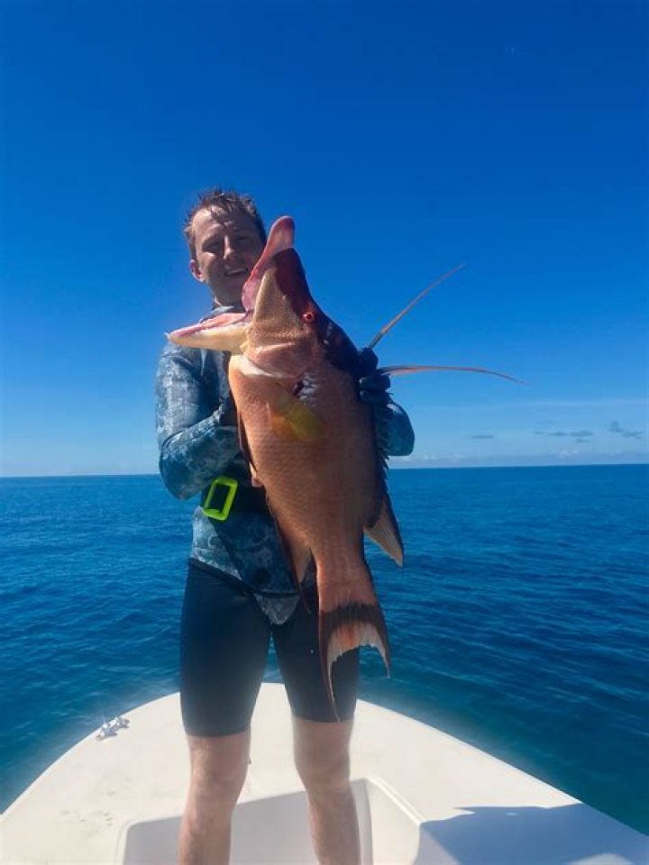 Can you spear hogfish in the Keys?