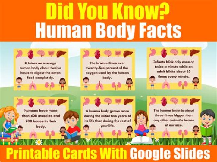 Did you know facts about female body?