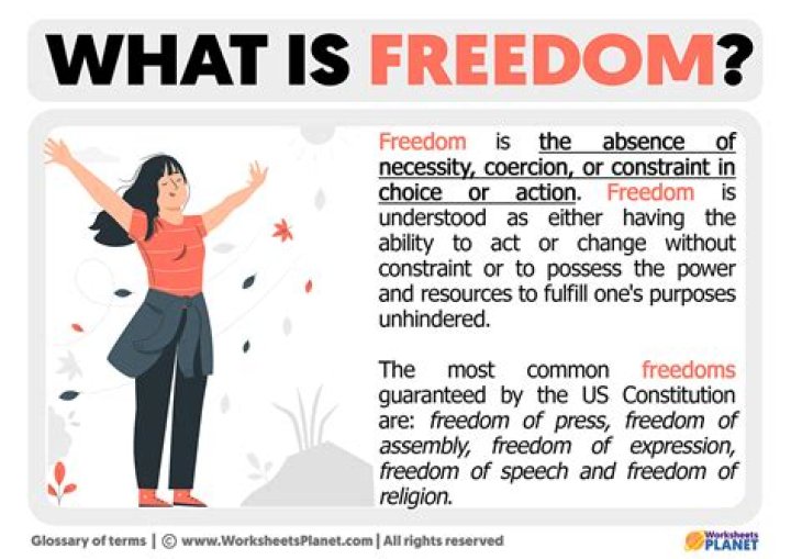 Does Freedom work on Mac?
