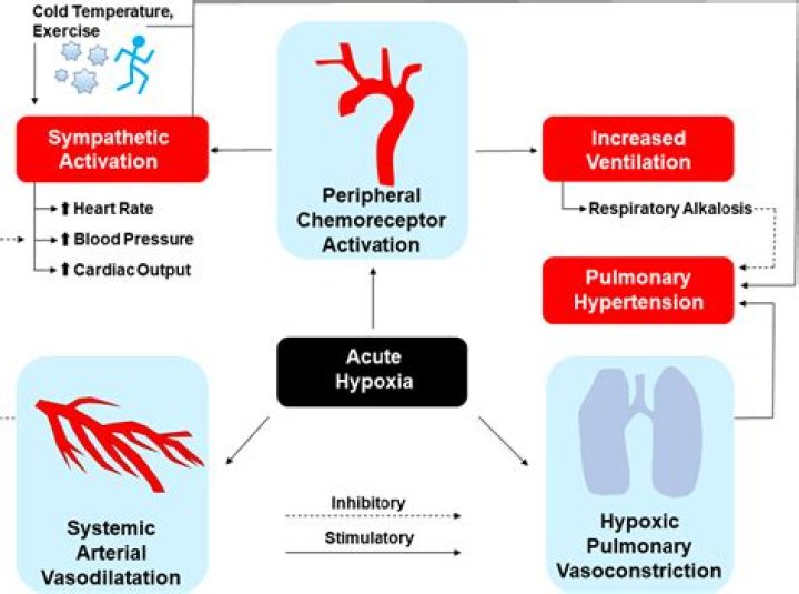 Does hyperventilation cause hypoxemia?