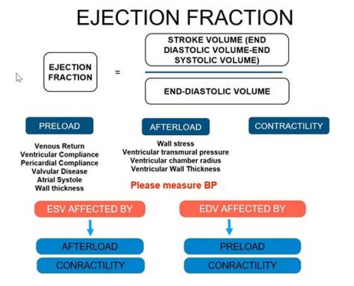 How accurate are ejection fraction measurements?
