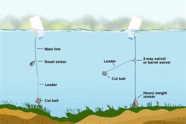 How deep should my jug lines be?