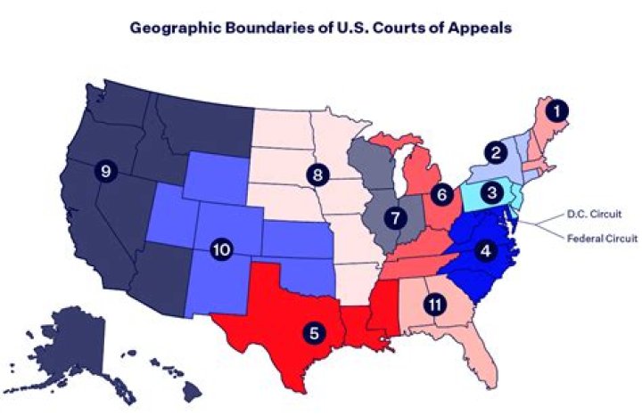 How do I find district court cases?
