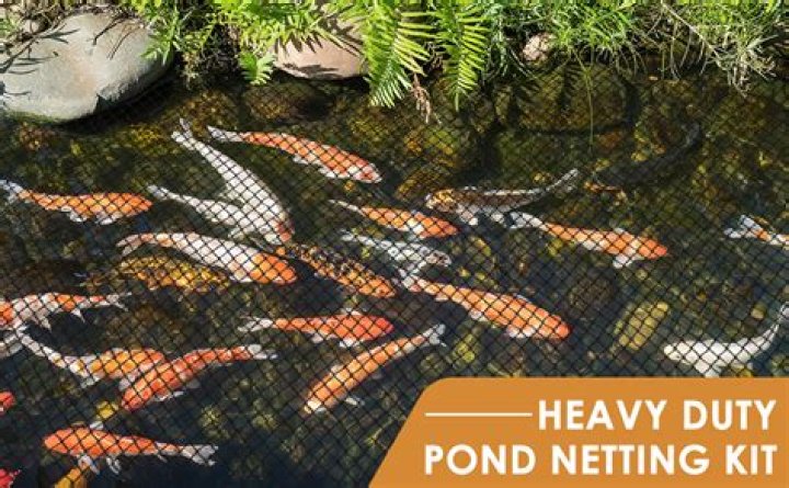 How do I get rid of pond netting leaves?