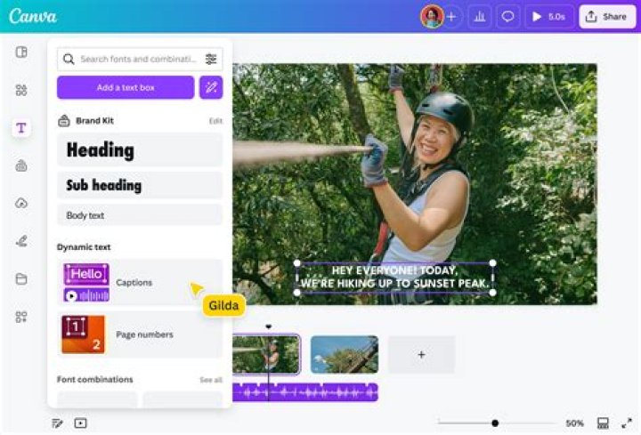 How do I put subtitles on Roku Netflix?