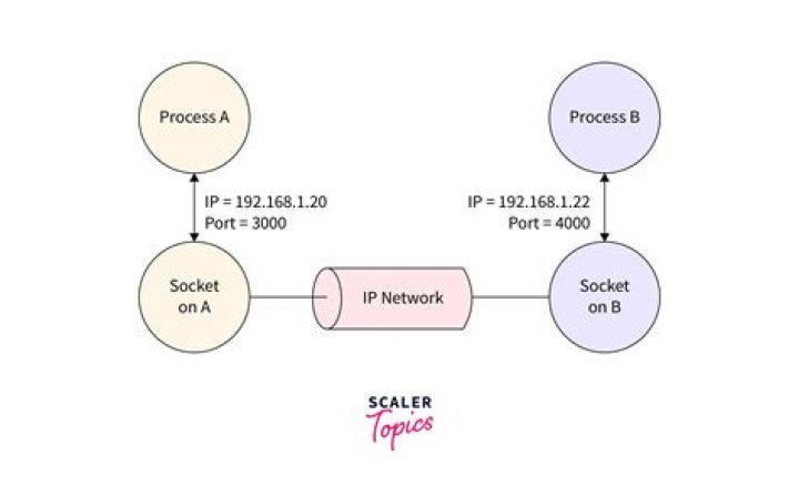 How do I see sockets in Linux?