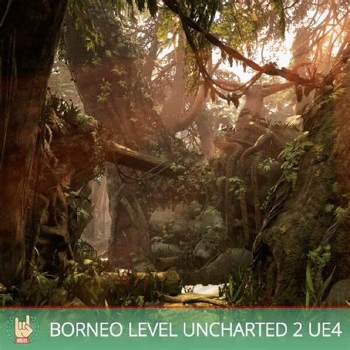 How do you get the treasure in Uncharted 2 Borneo?
