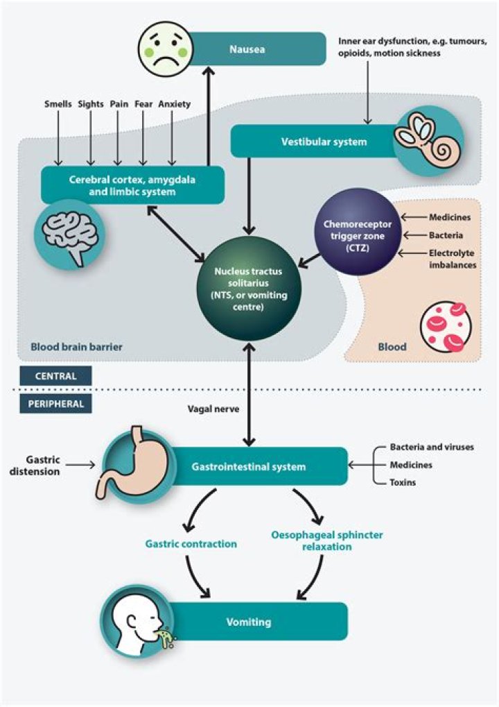 How do you manage nausea and vomiting in palliative care?