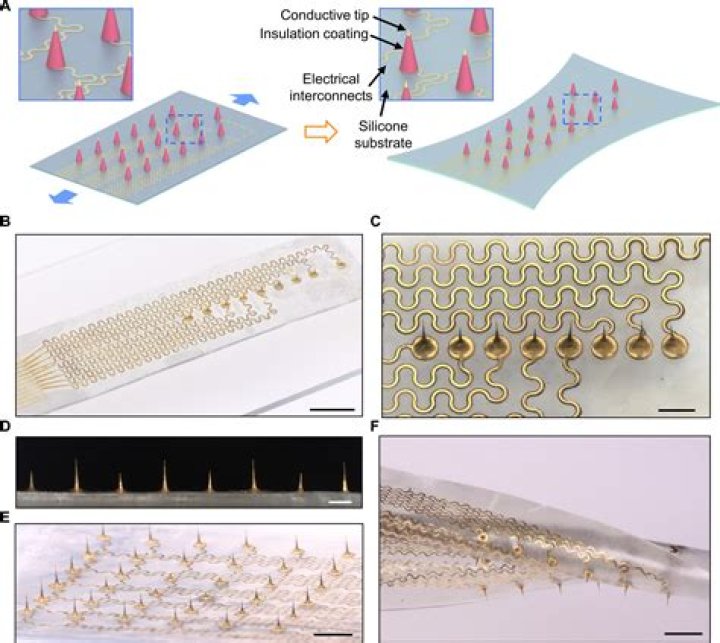 How does a multi-electrode array work?