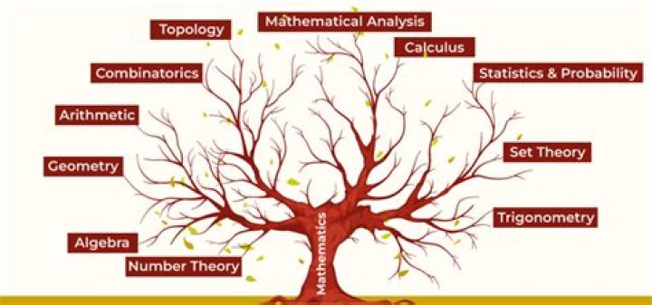 How is mathematics used in law enforcement?