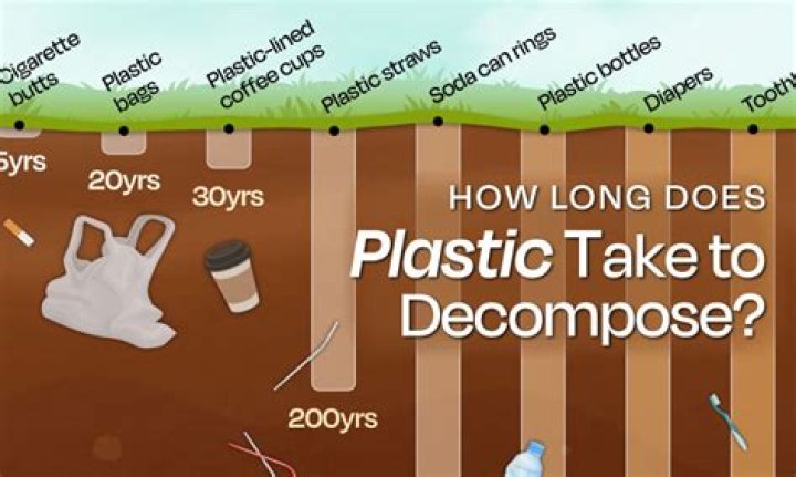 How long does it take for a body to decompose completely?