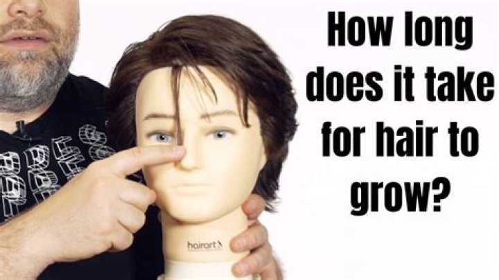How long does it take for hair to grow out 2 inches?