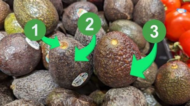 How much avocado is poisonous to birds?