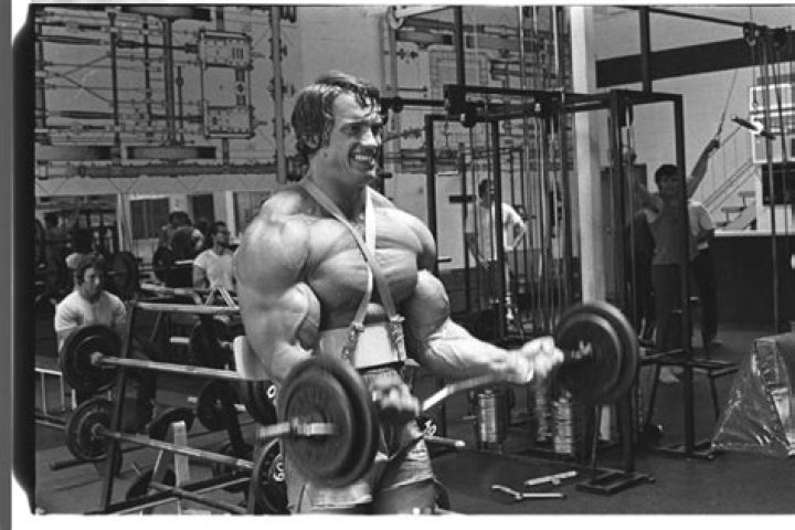 How much was Arnold Schwarzenegger paid for Terminator 3?