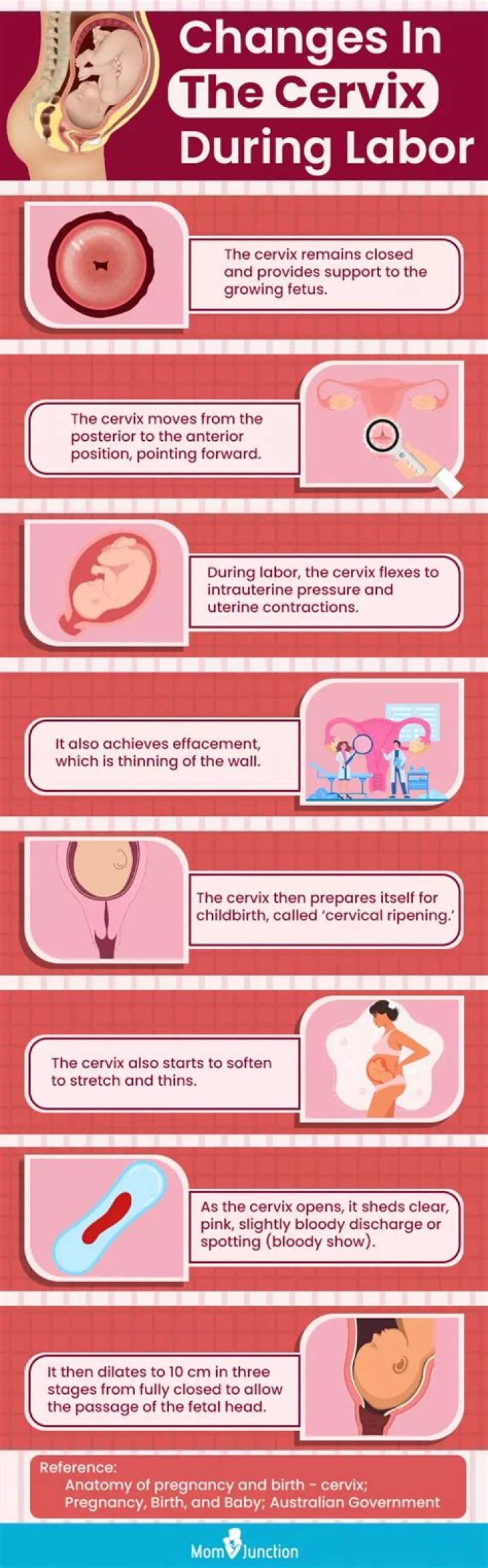 How soon does your cervix change in early pregnancy?