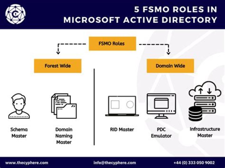 What are Active Directory FSMO roles?