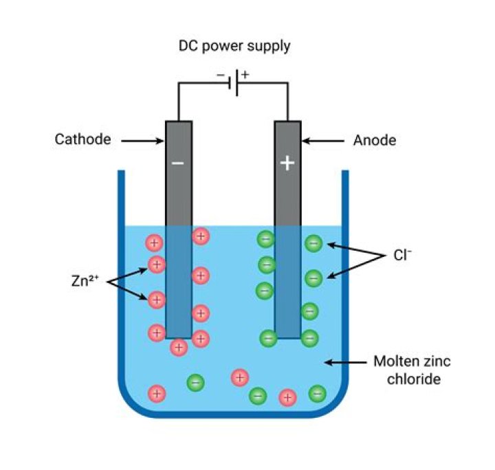 What are inert filler?