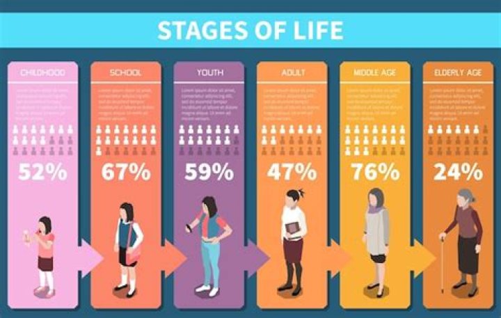 What are life stages defined as?