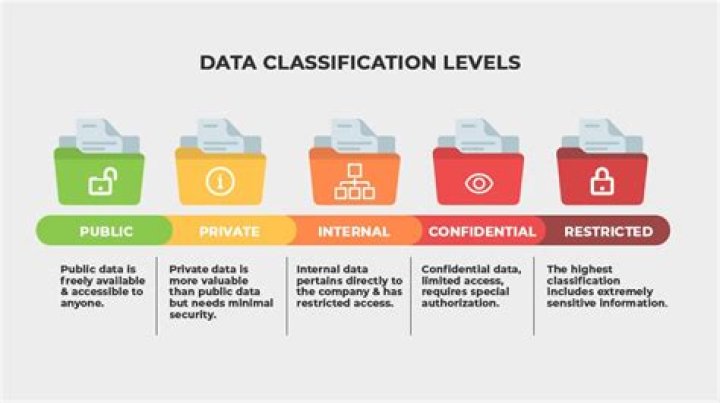 What are OPM classification standards?