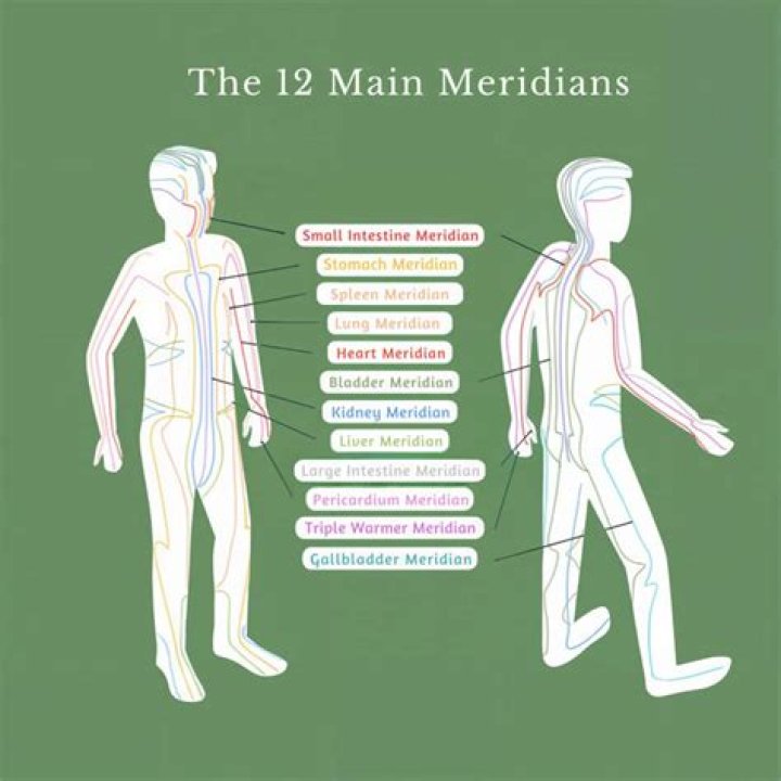 What are the 12 meridians?