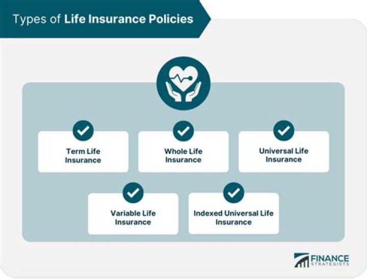 What are the 3 types of life insurance?