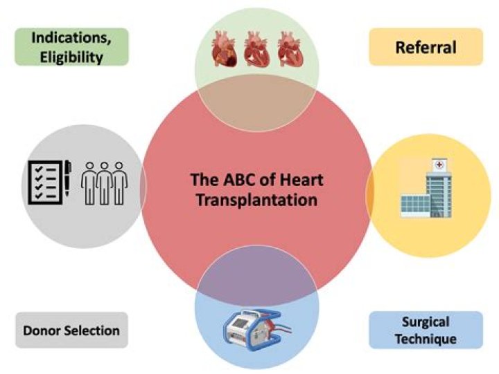 What are the indications and any contraindications for cardiac transplantation?
