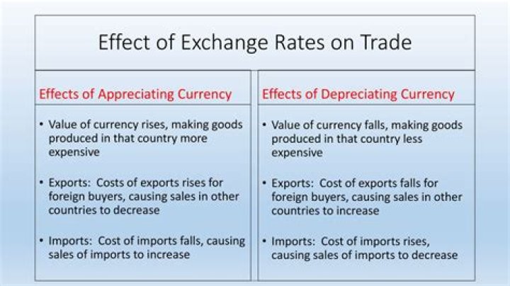 What are the macroeconomic effects of exchange rates?