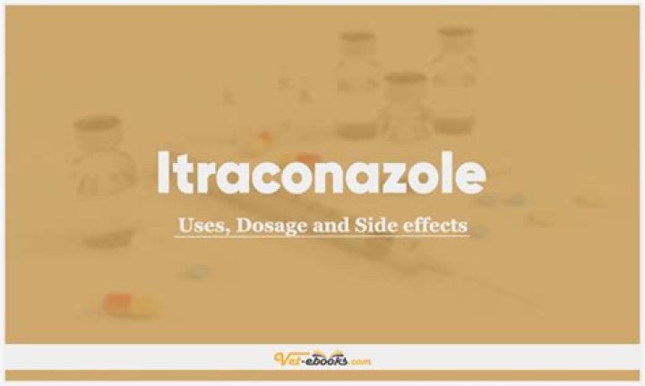 What are the side effects of itraconazole in dogs?