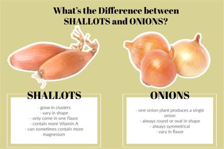 What are Tropea onions?