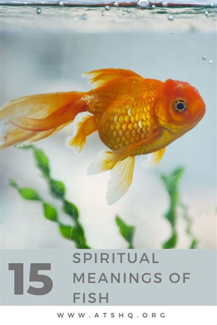 What does a fish represent spiritually?