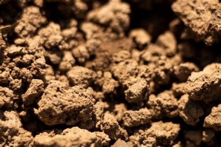 What does clay soil look like?