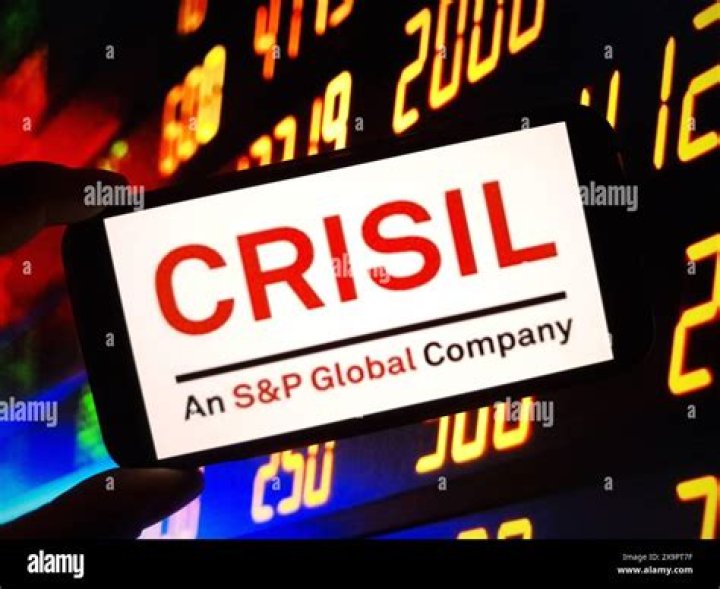 What does CRISIL company do?