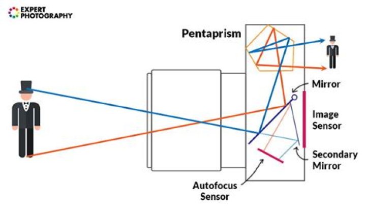 What does DSLR stand for camera?