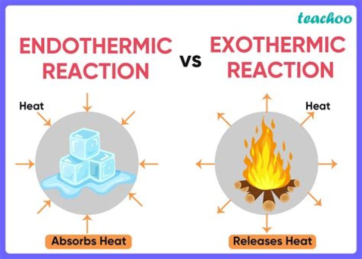 What does endothermic mean quizlet?