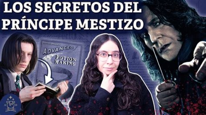 What does mestizo represent?