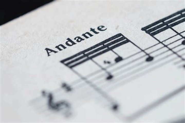 What does poco andante mean in music?