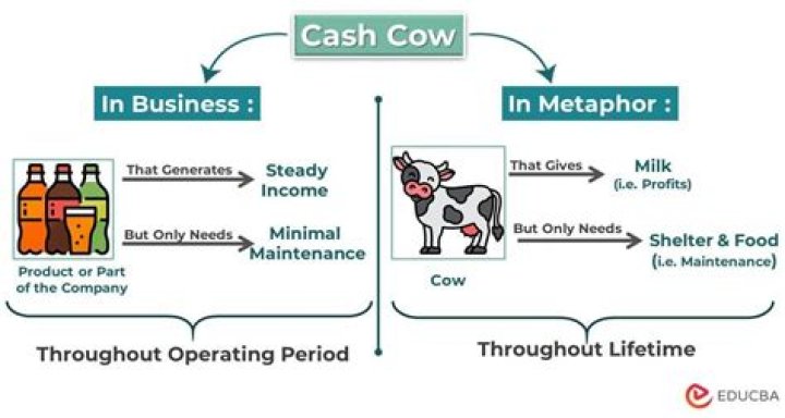 What does the phrase cash cow mean?