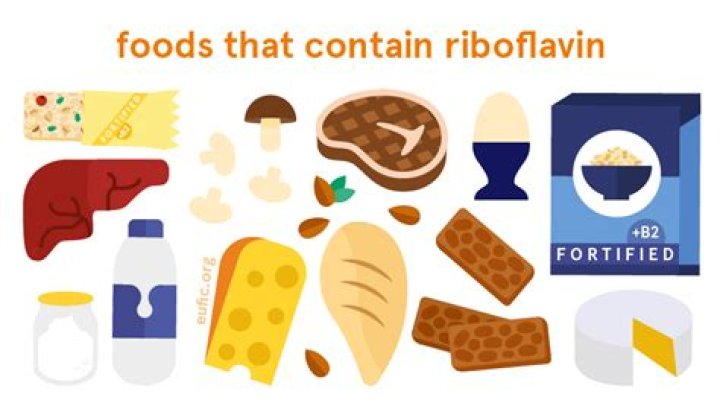 What foods contain the most riboflavin?