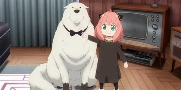 What happens if you buy the dog from Gene?