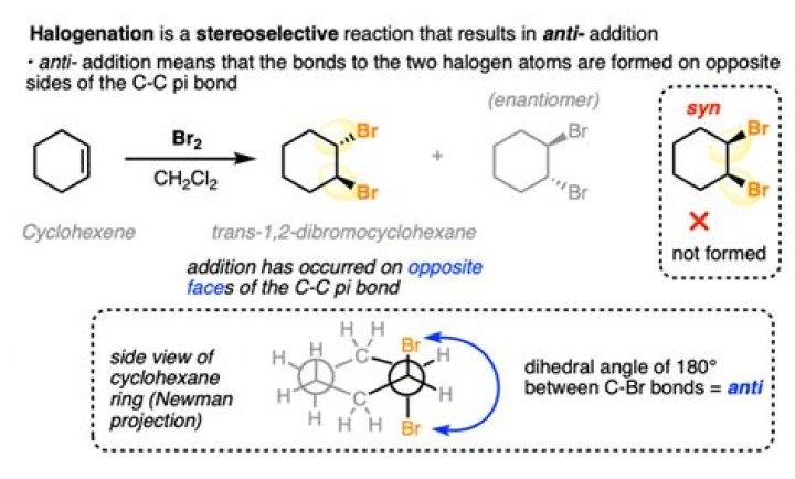 What happens when cyclohexene reacts with bromine?