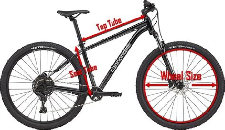 What height is a 29 inch mountain bike for?