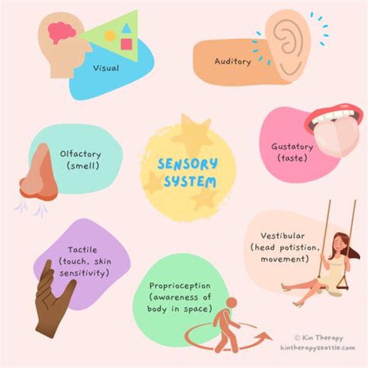 What is auditory kinesthetic and visual?