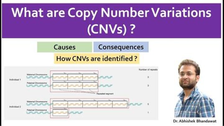 What is copy number variation?