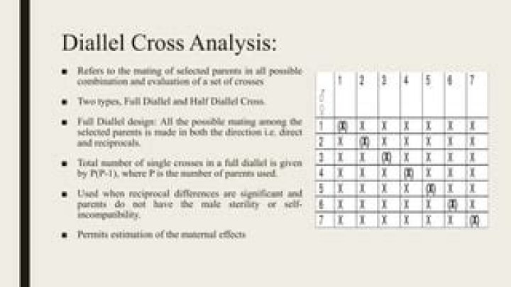 What is diallel analysis?